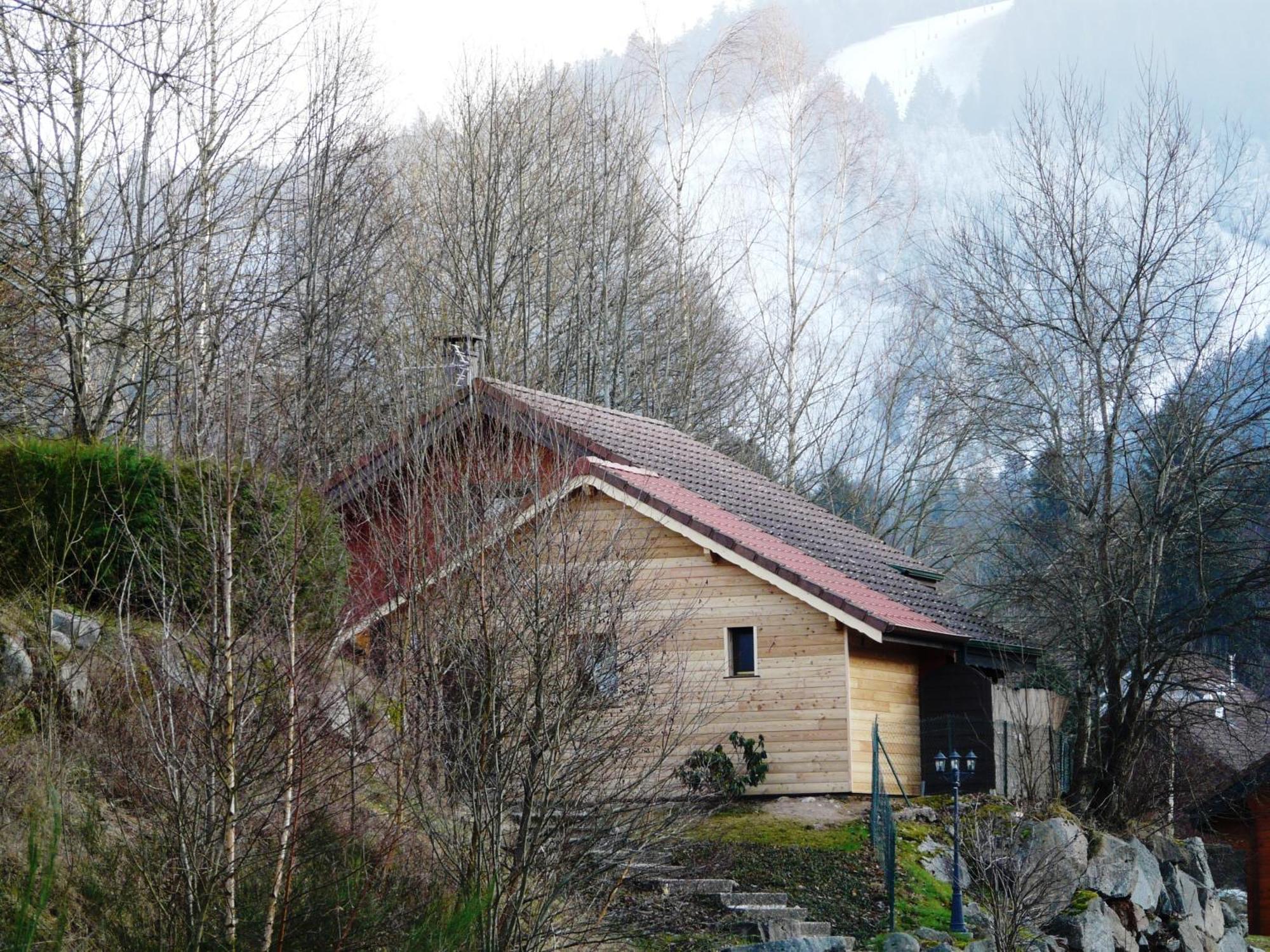 Chalet Les Sapins Argentes Gérardmer Buitenkant foto