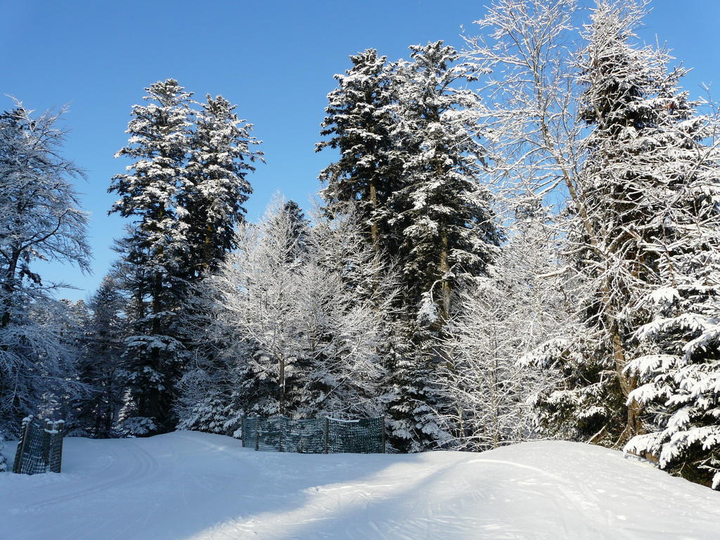 Chalet Les Sapins Argentes Gérardmer Kamer foto