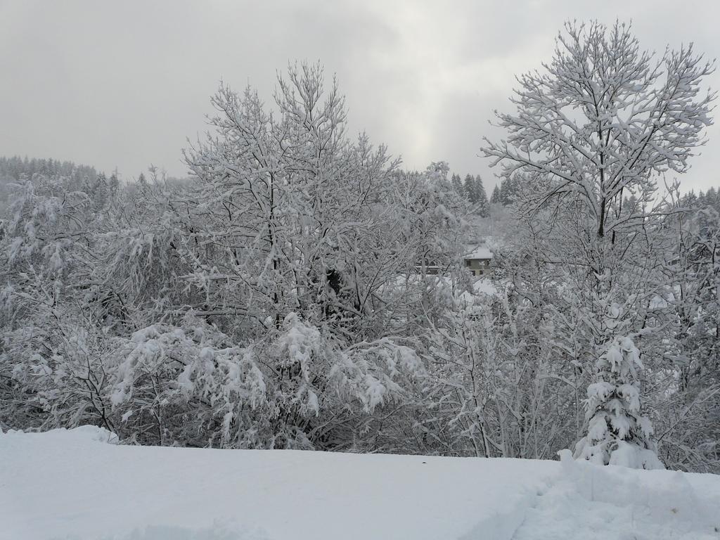 Chalet Les Sapins Argentes Gérardmer Buitenkant foto
