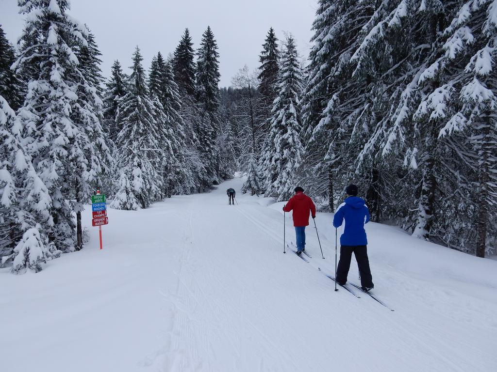 Chalet Les Sapins Argentes Gérardmer Buitenkant foto