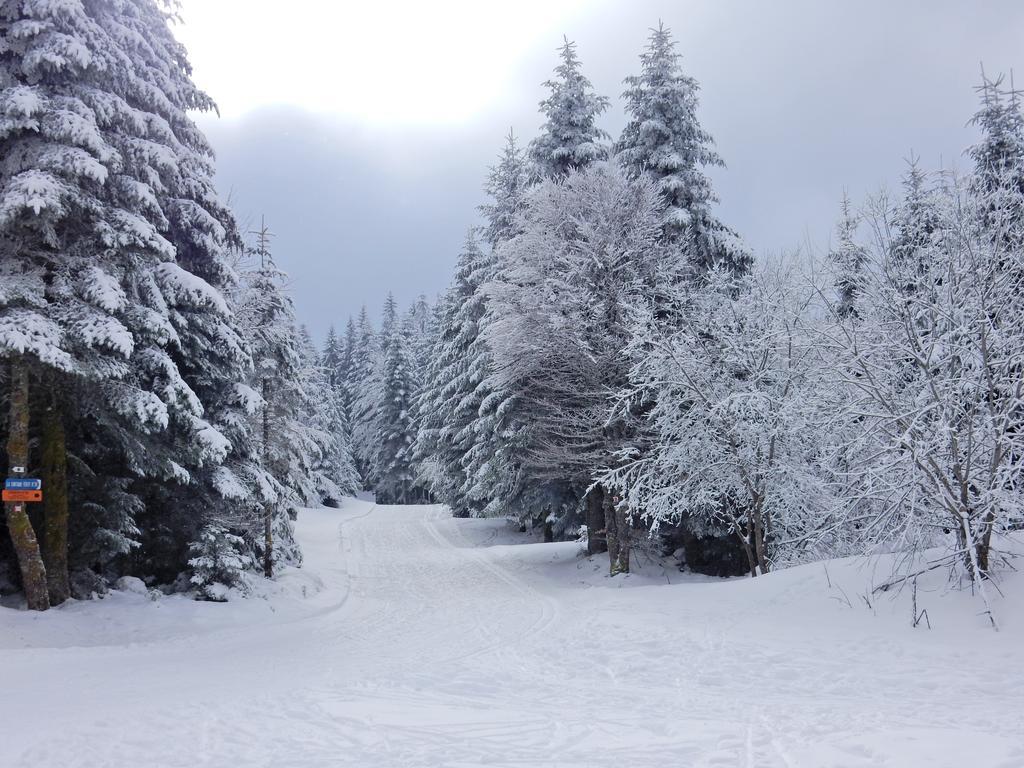 Chalet Les Sapins Argentes Gérardmer Buitenkant foto