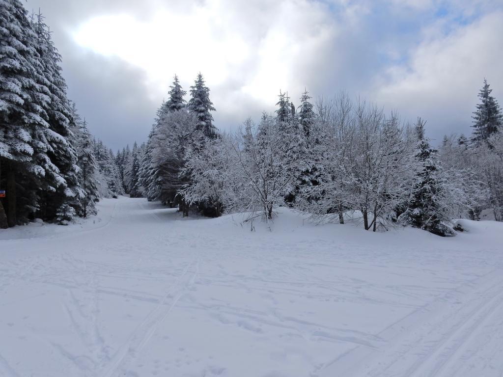 Chalet Les Sapins Argentes Gérardmer Buitenkant foto