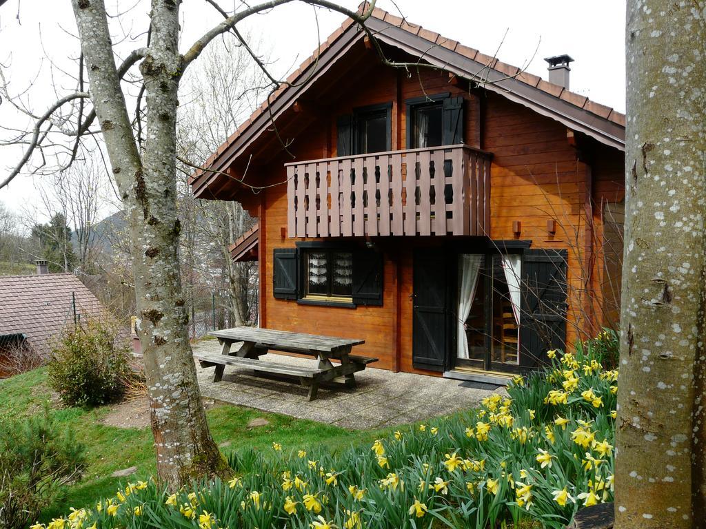 Chalet Les Sapins Argentes Gérardmer Buitenkant foto