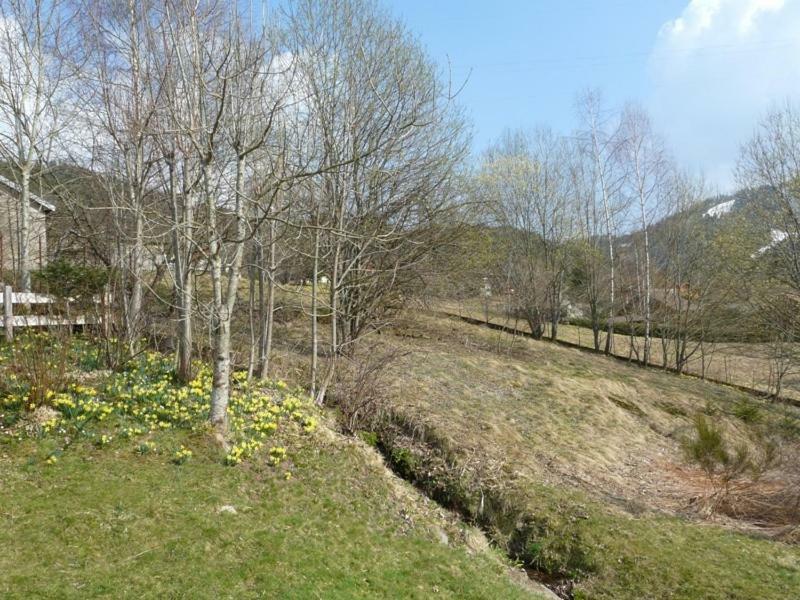 Chalet Les Sapins Argentes Gérardmer Kamer foto