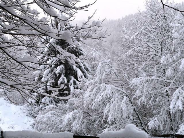 Chalet Les Sapins Argentes Gérardmer Kamer foto